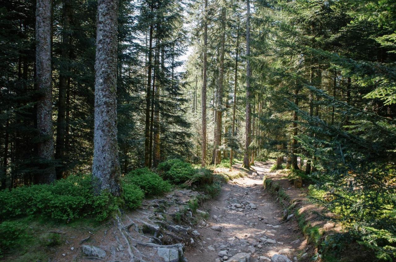 Вилла Le Refuge Du Cerf Ле-Толи Экстерьер фото